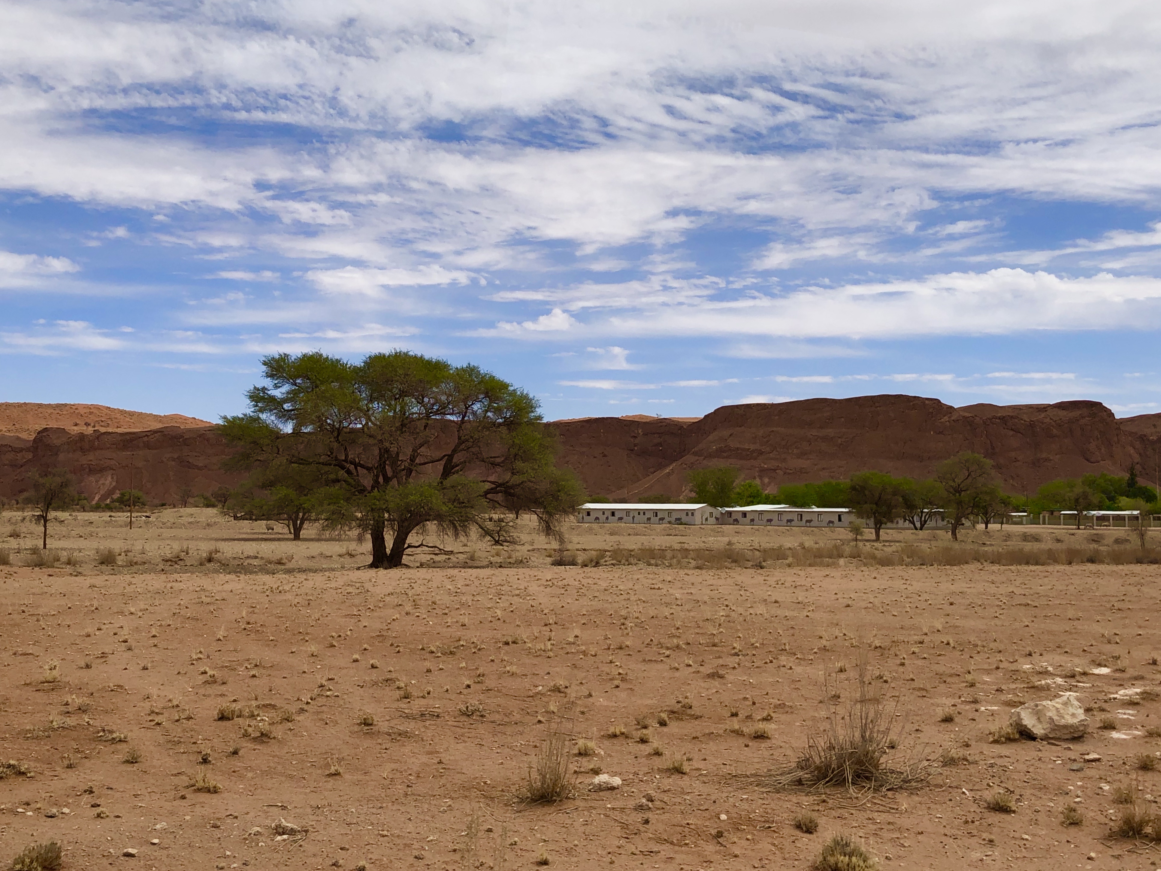 ױNamib Desert Lodgeͼ