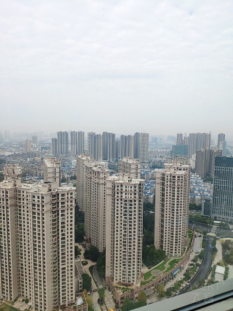 IMG_20191116_095438.jpg