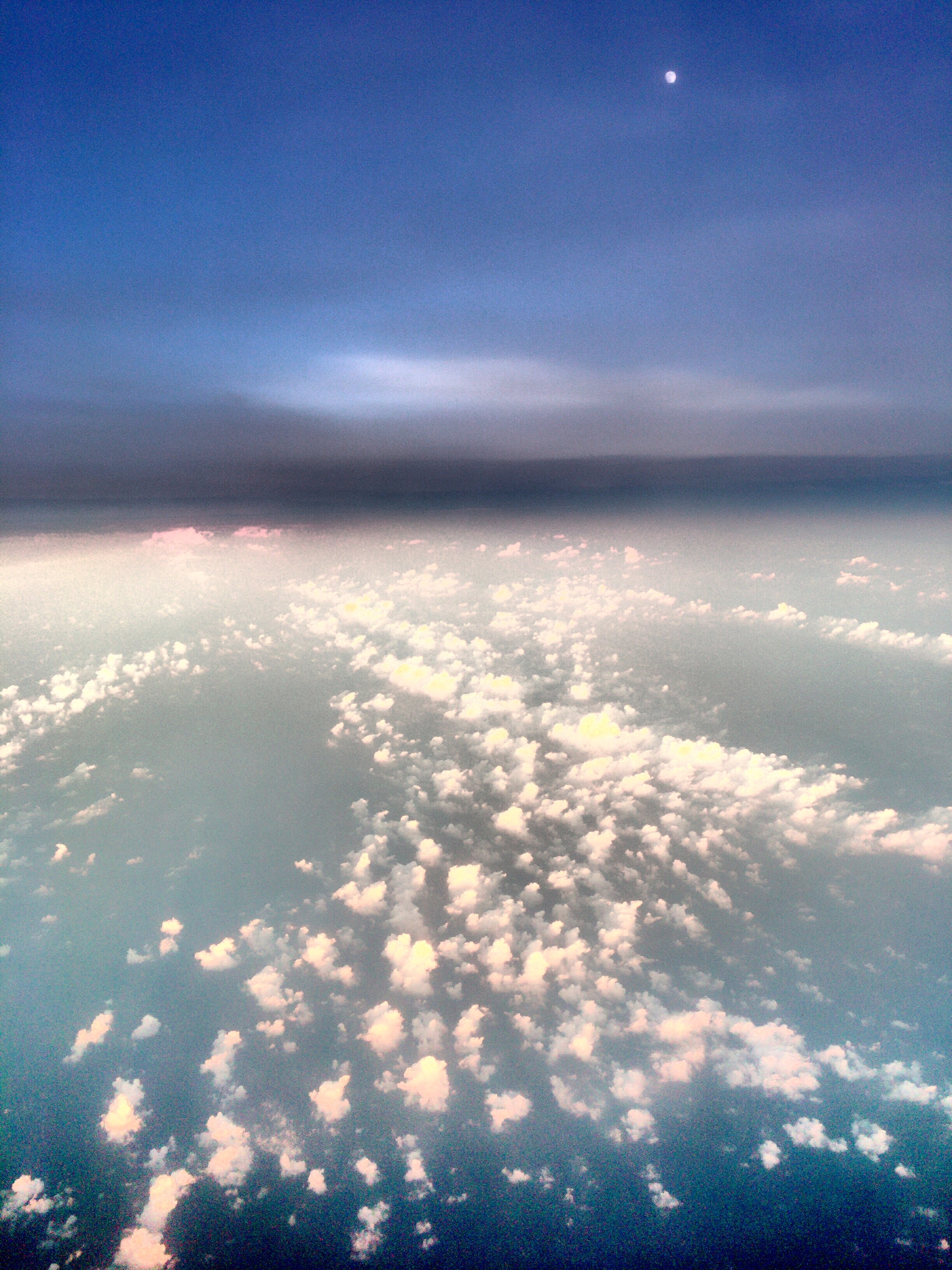 Cocoƶ  
л֮ A330
Щ꣬ɹ黳
