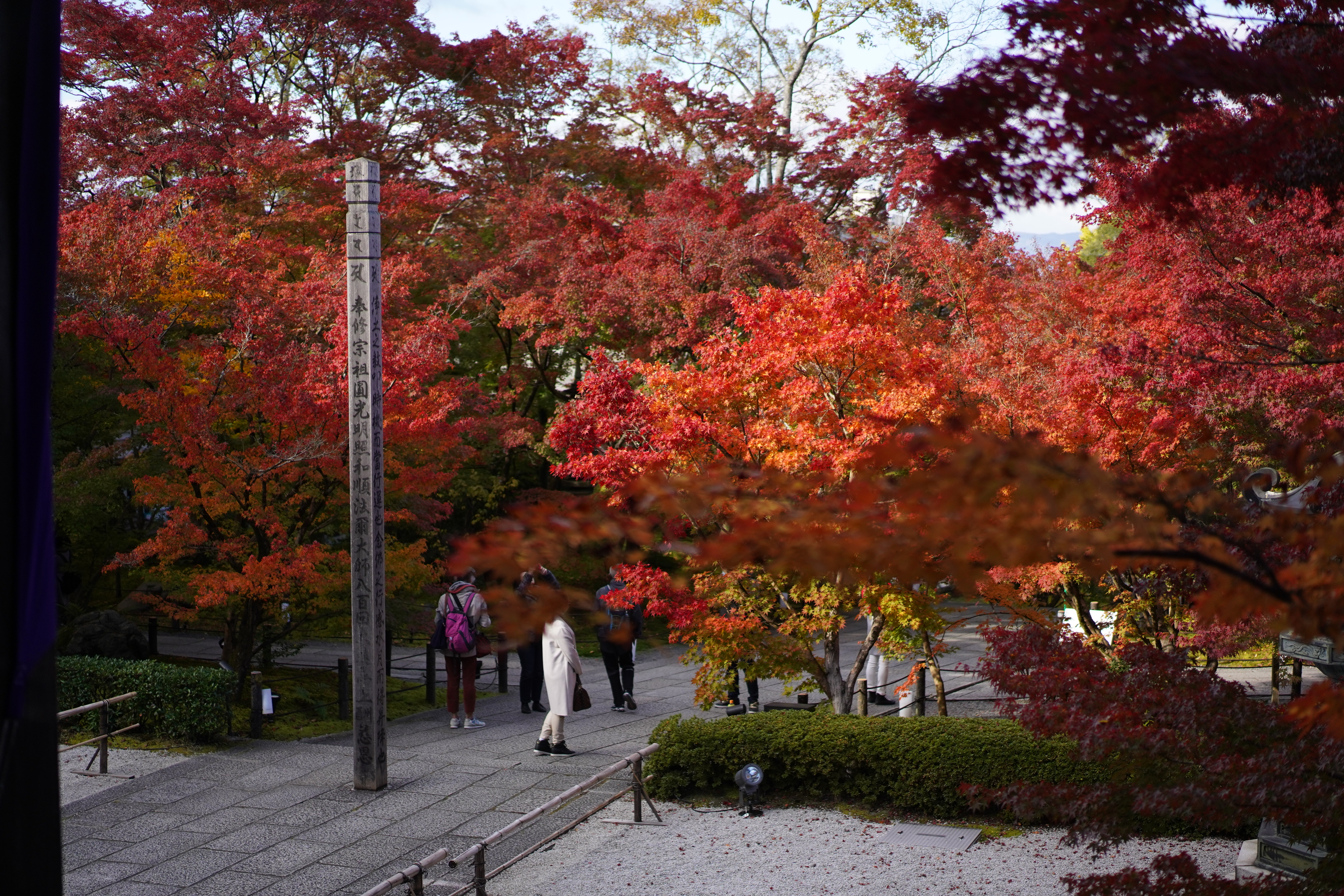 Ritz-Carlton Kyoto