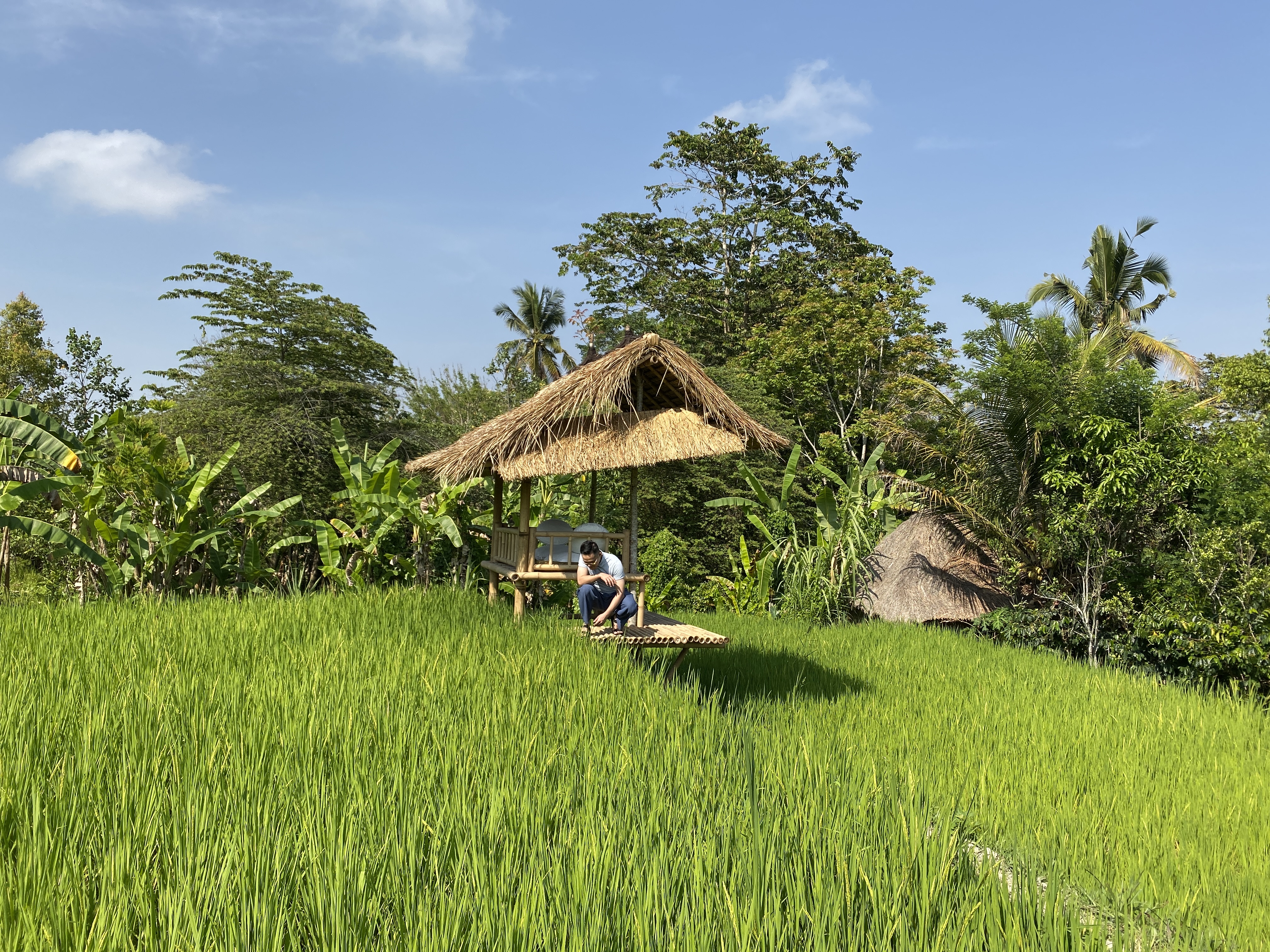 淨-嵺Kamandalu Ubud ڲ֮