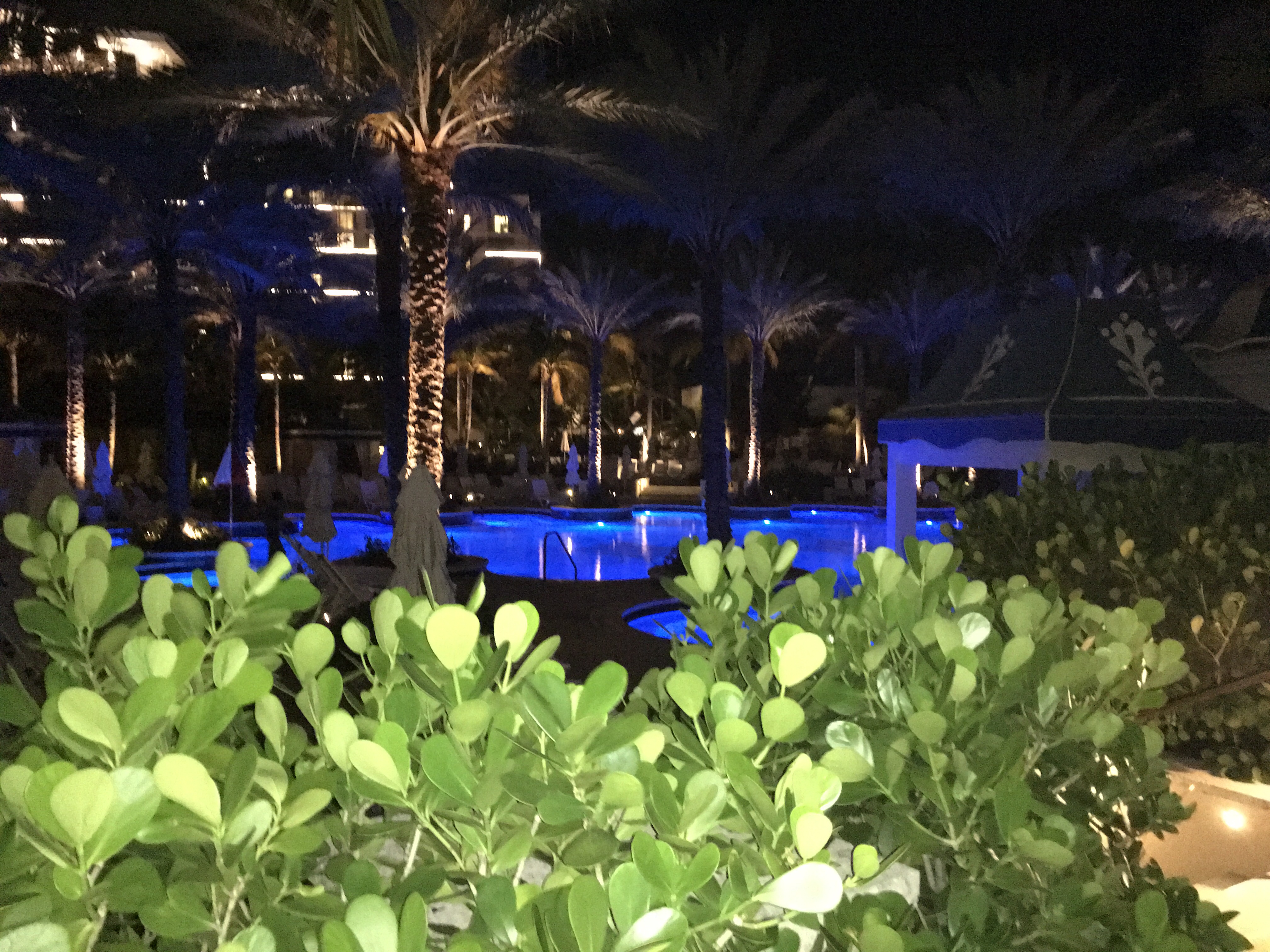 Grand Hyatt Bahama͹þƵ