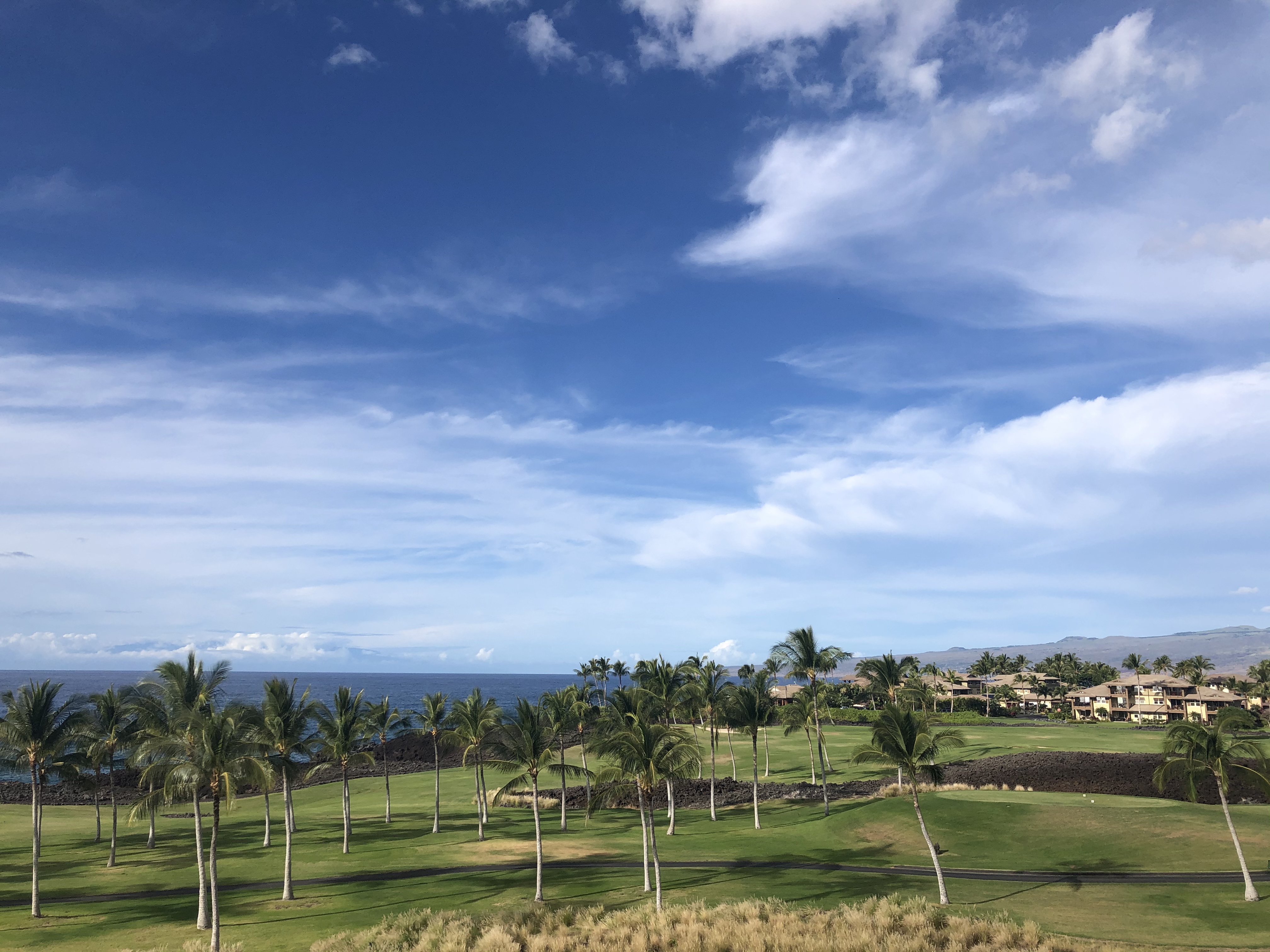 hilton waikoloa village