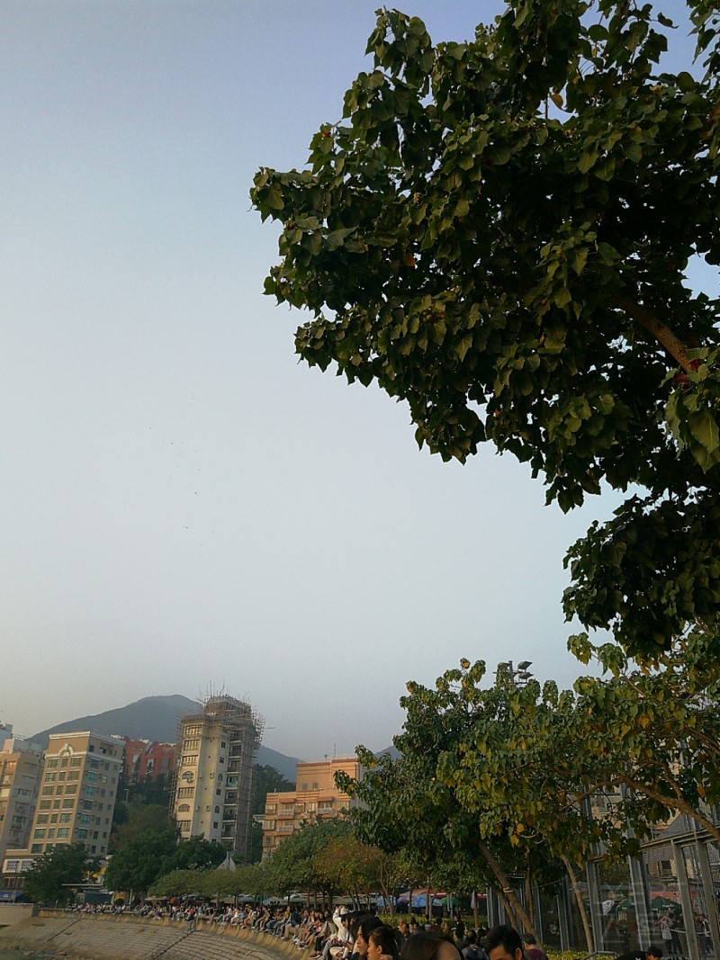 IMG_20191222_170042.jpg