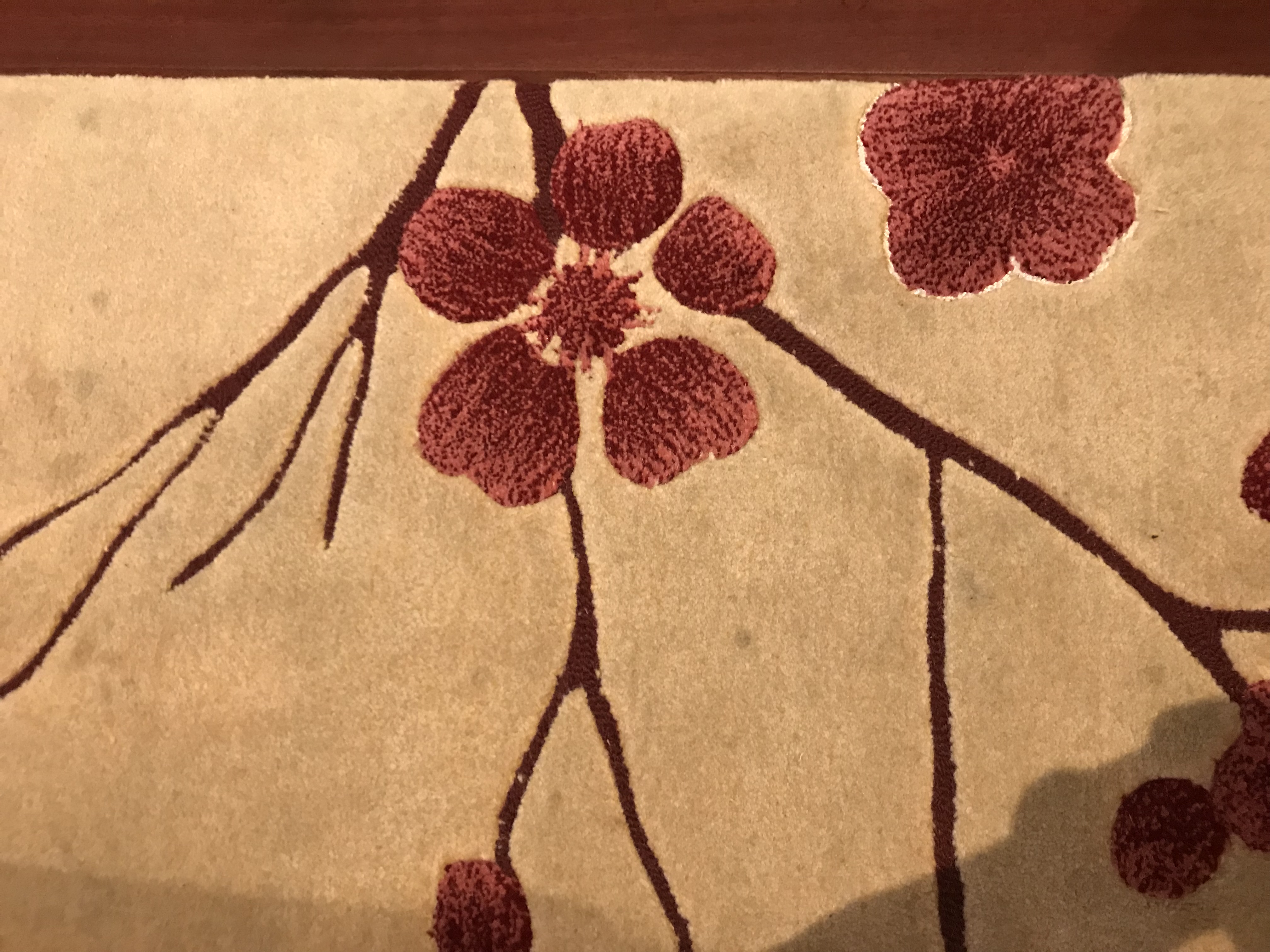 ڸ
