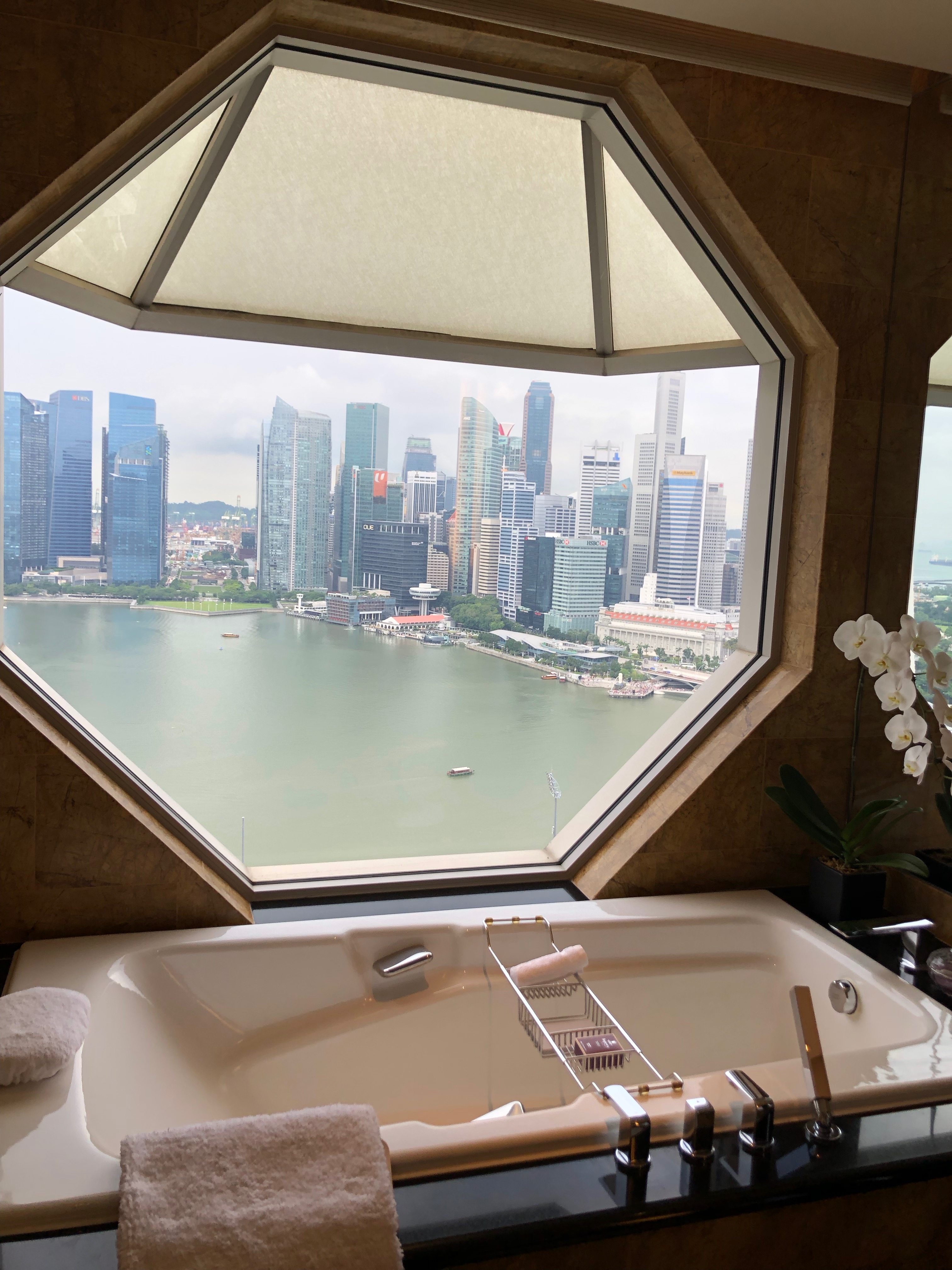 Ritz Carlton Singapore review  mini μ