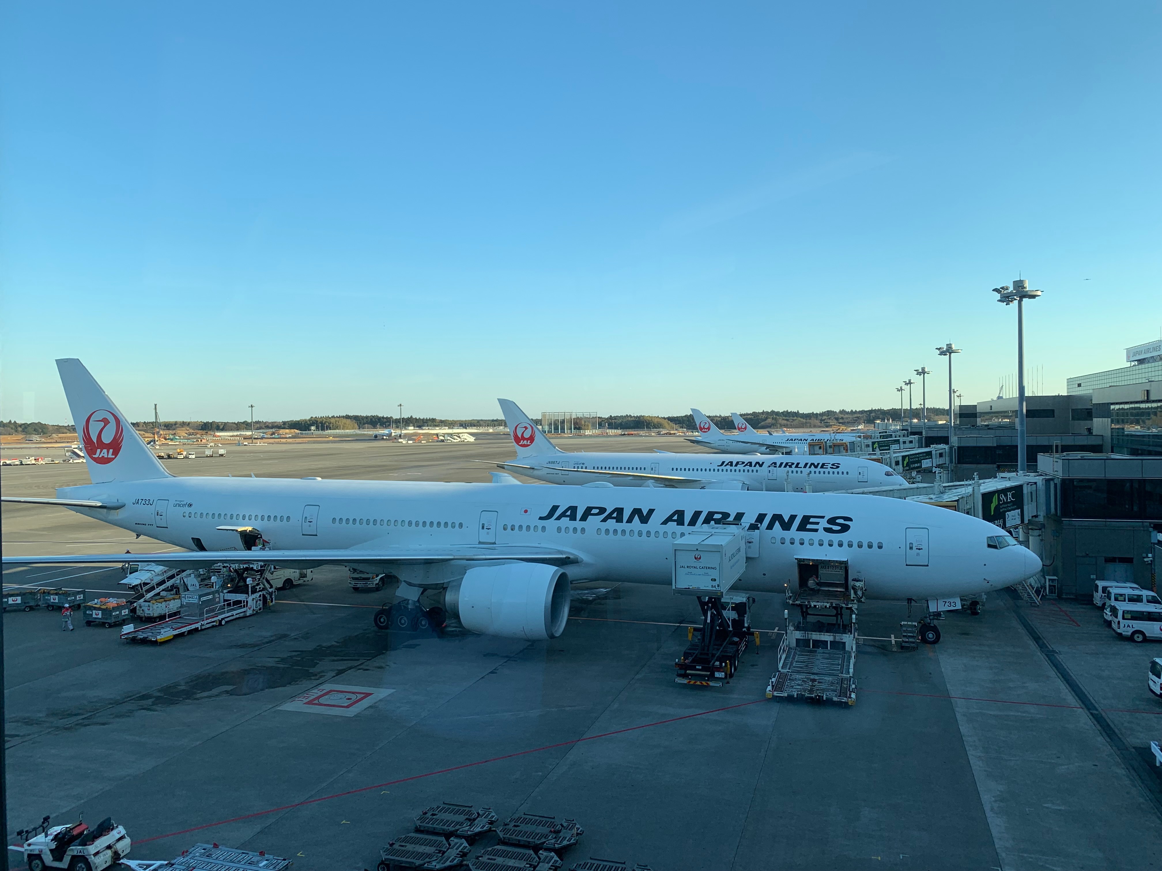 ձ JL3 ŦԼ- JFK-NRT ͷ