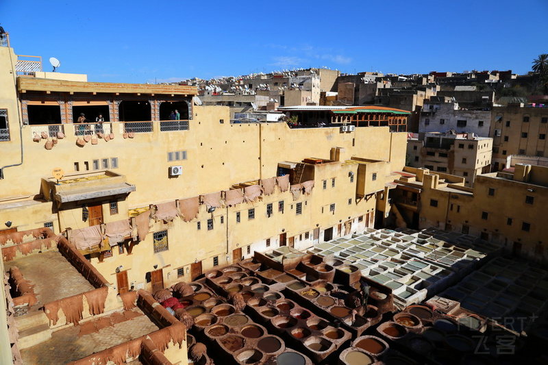 Fes--Tanneries Chouara (10).JPG