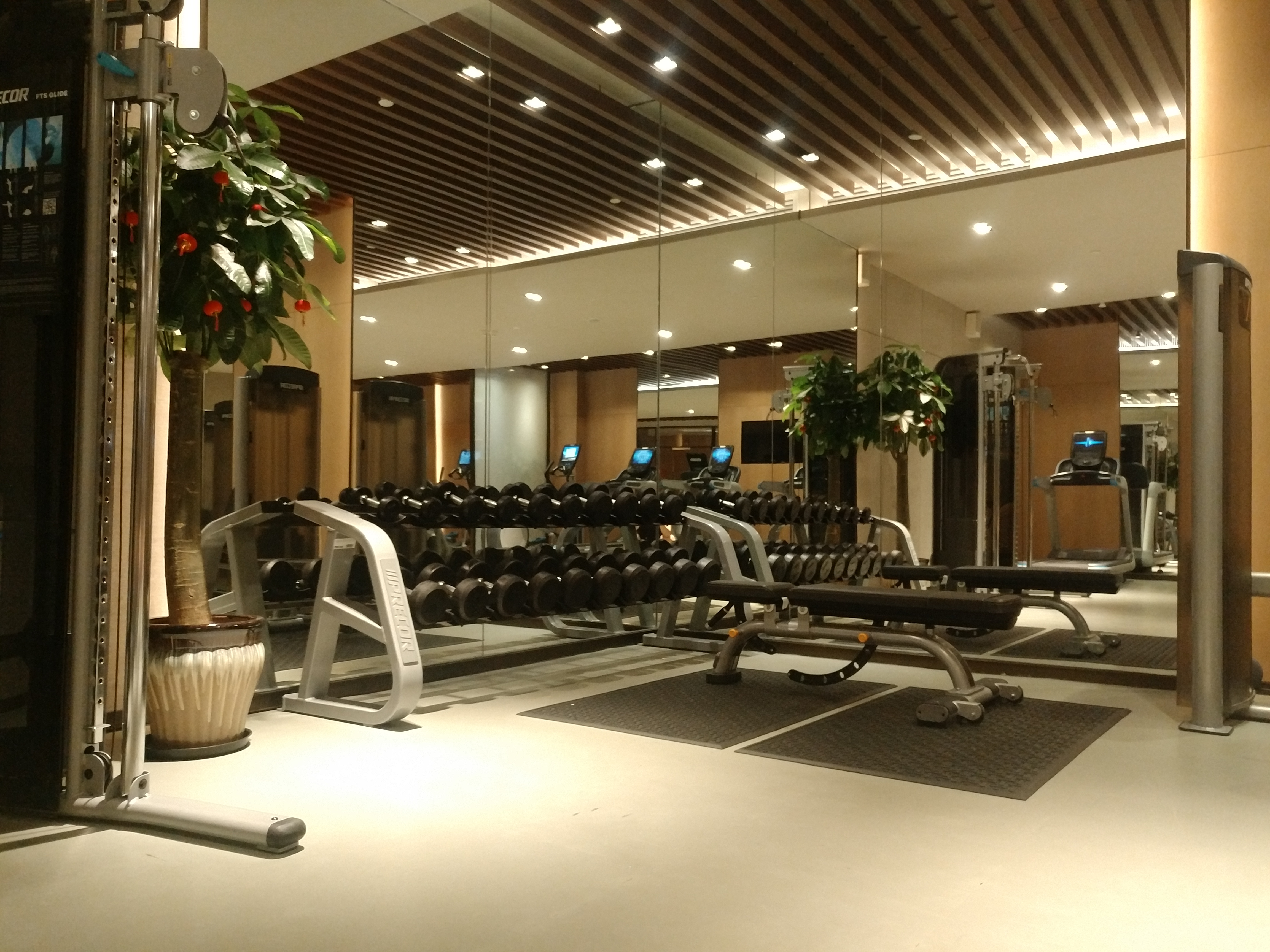 Яٴ麣DoubleTree