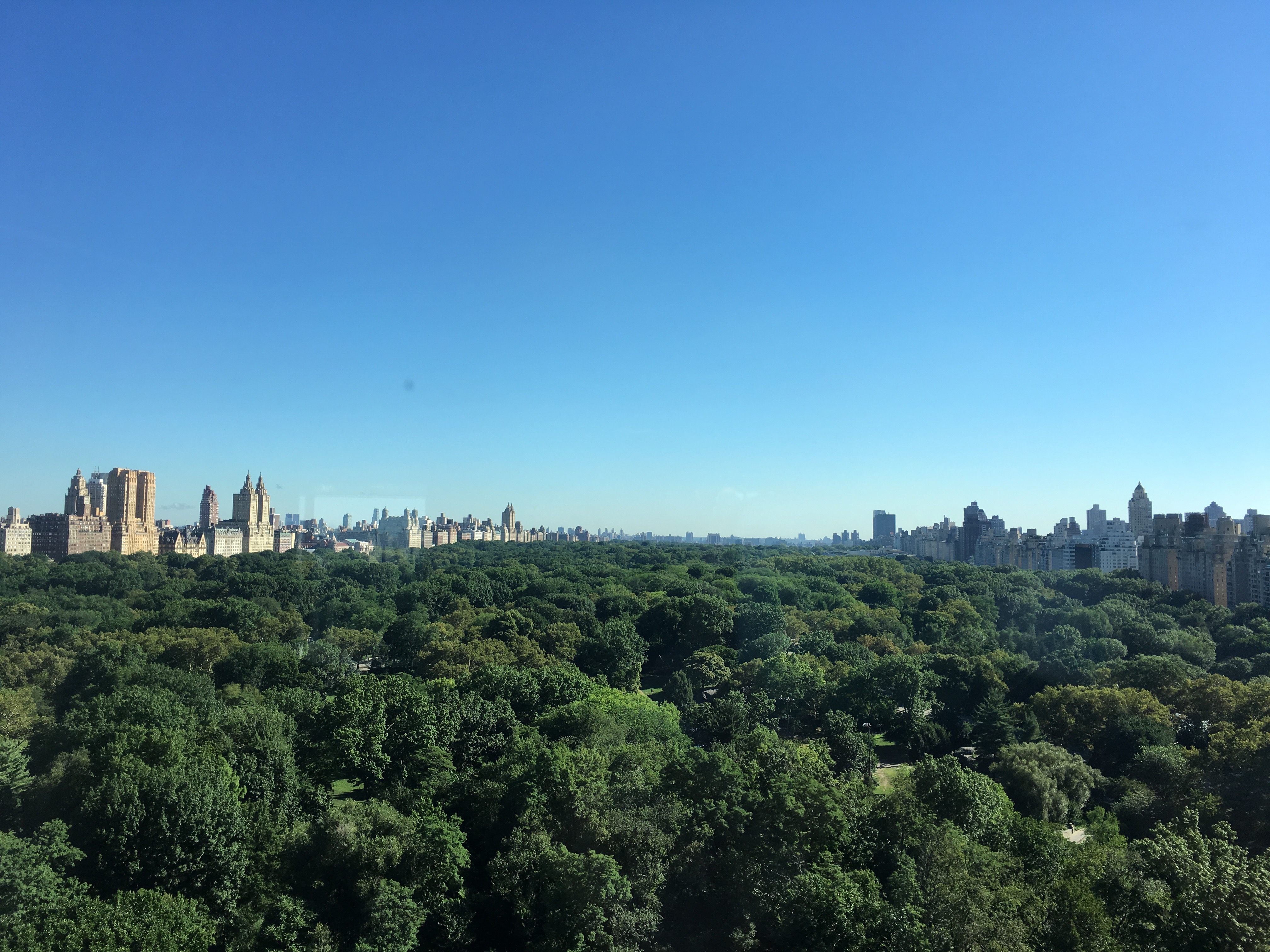 ŦԼ빫԰˼ || The Ritz-Carlton New York , Central Park