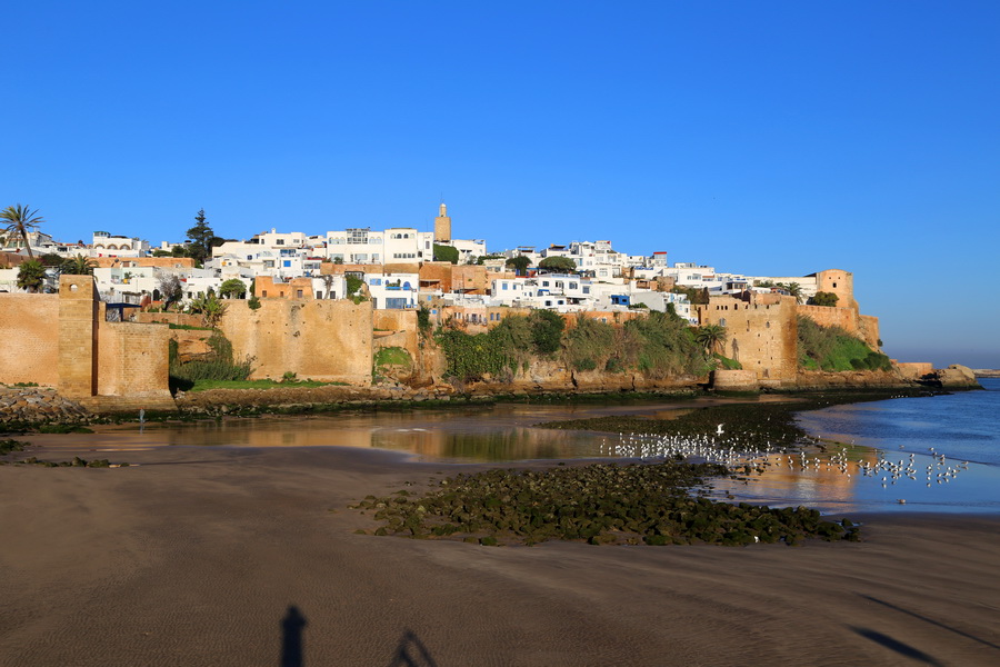 ǣĦ磺Riad Dar Jabador˹