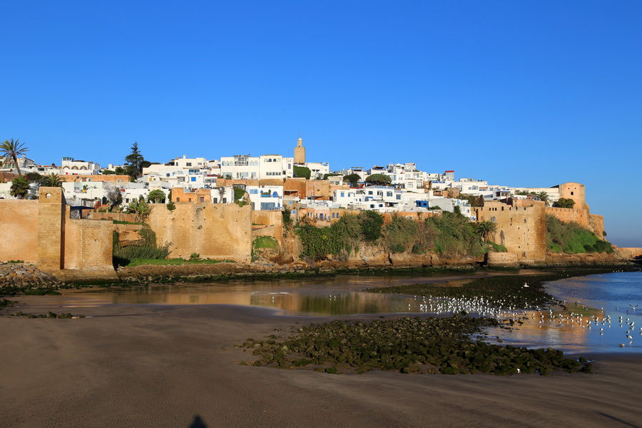 ǣĦ磺Riad Dar Jabador˹