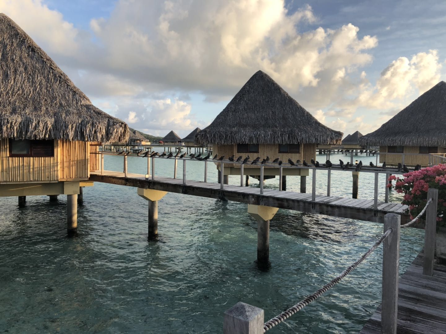 ͼ Ϫ޼+ Ī޼&̩޼(Tahiti BoraBora)