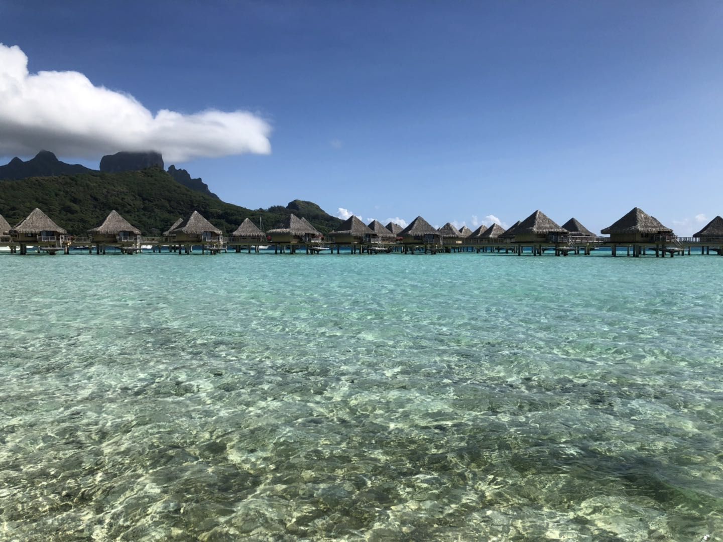 ͼ Ϫ޼+ Ī޼&̩޼(Tahiti BoraBora)