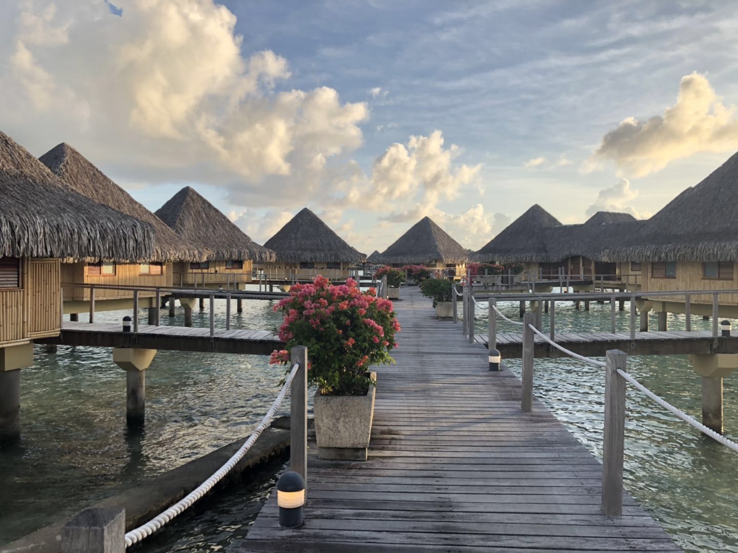 ͼ Ϫ޼+ Ī޼&̩޼(Tahiti BoraBora)