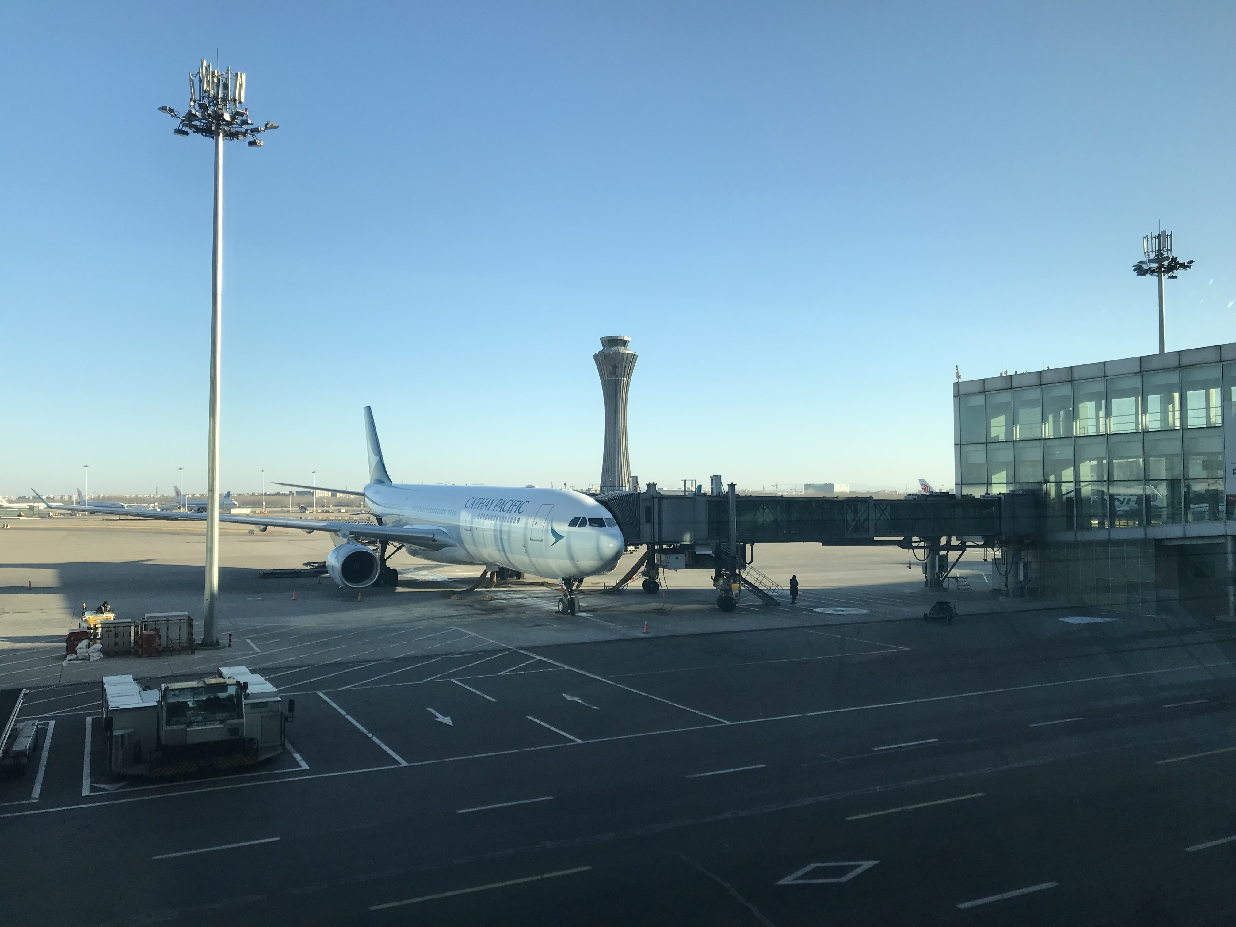 CX113 PEK-AKL Ϊ̩Ȼ̽ѰKiwi֮ HKG۾̨ #