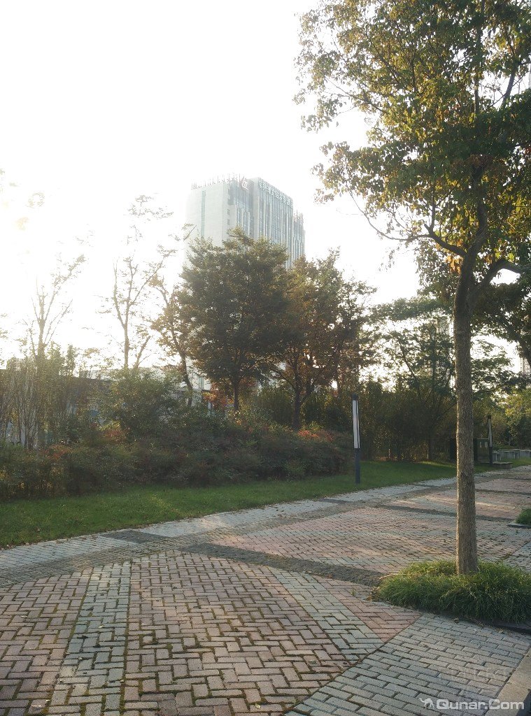 y8ASt82nzJ6wa-tf81024.jpg