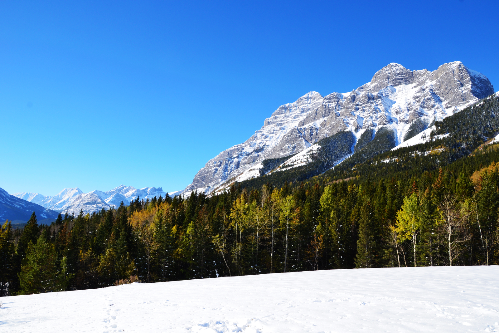 ˵羰ô˵ǵ -- ϱɽȡ Kananaskis;ѡ