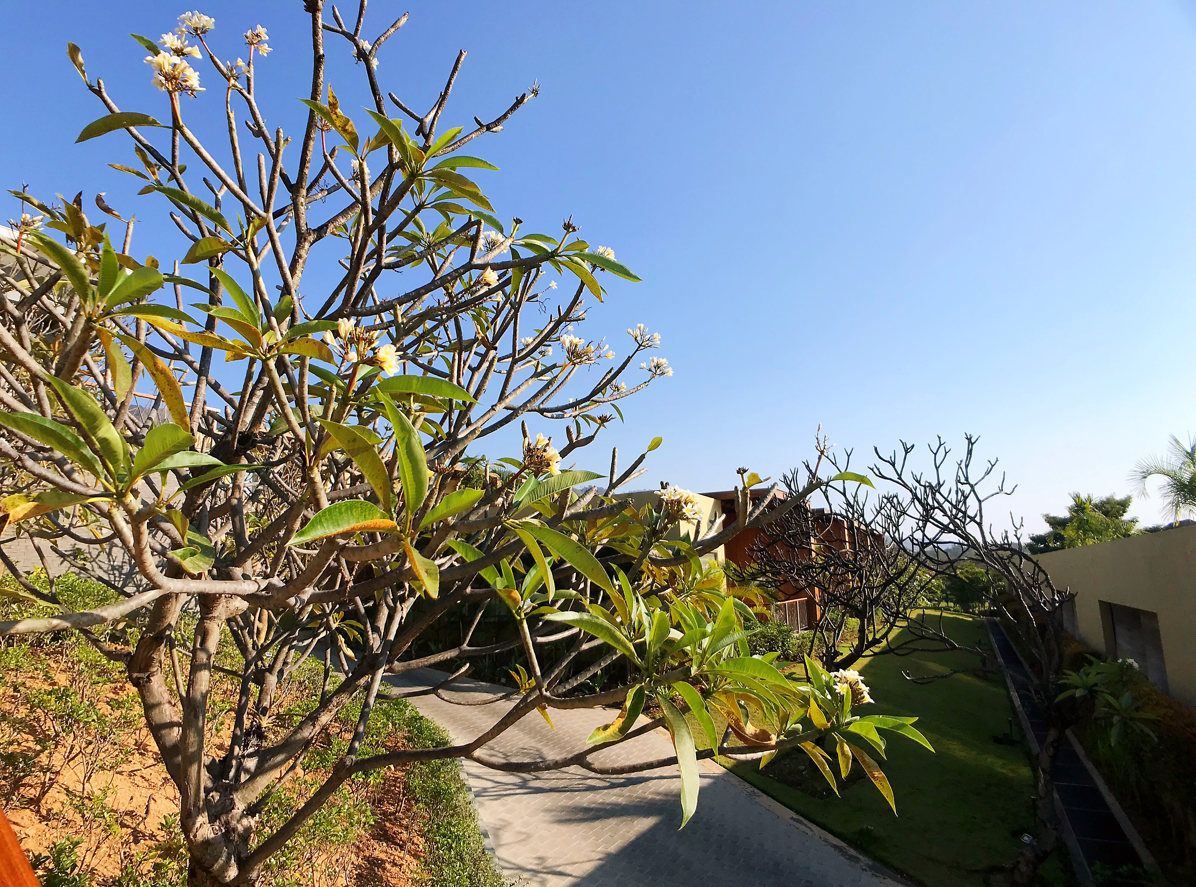 ŵƵ- Novotel Inle Lake-Deluxe Villa Lake View