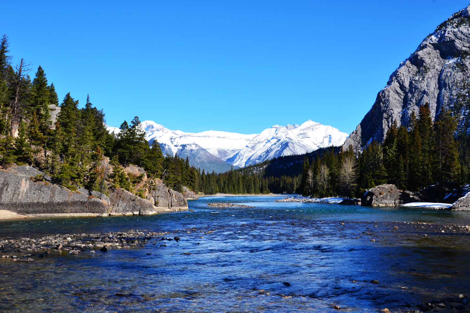 ѩҹ --  Delta Banff Royal Canadian Lodge