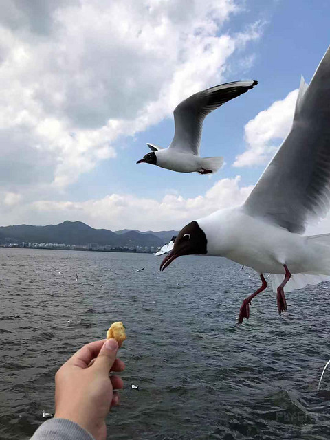 362771488.jpg