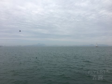 IMG_4037.JPG