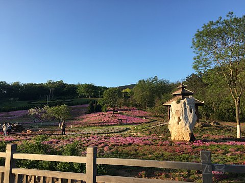 IMG_4083.JPG
