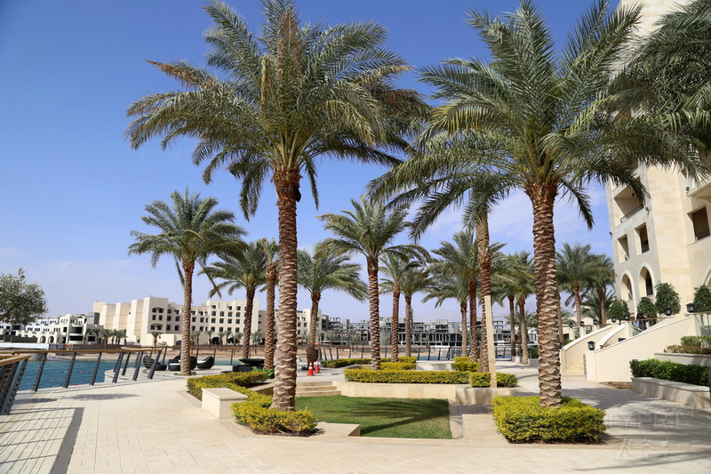 Aqaba--Al Manara a Luxury Collection Hotel Gardens (2).JPG