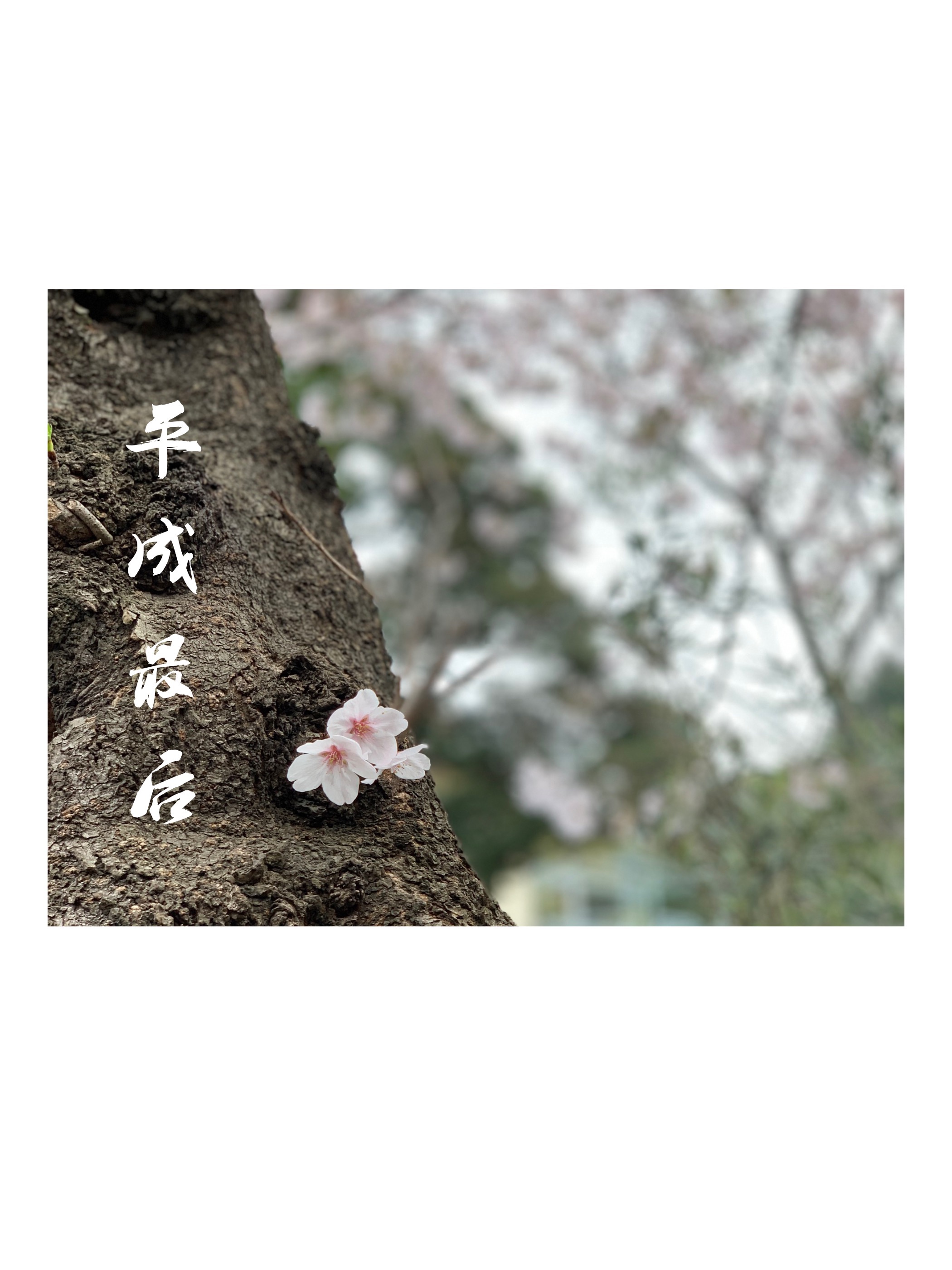 ƽ | ˼پƵ
