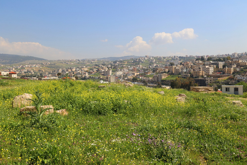 Jerash (53).JPG