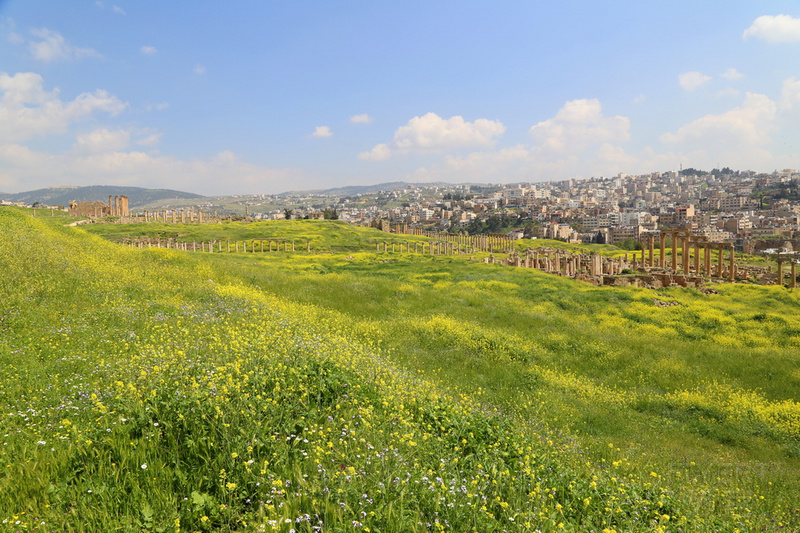 Jerash (88).JPG