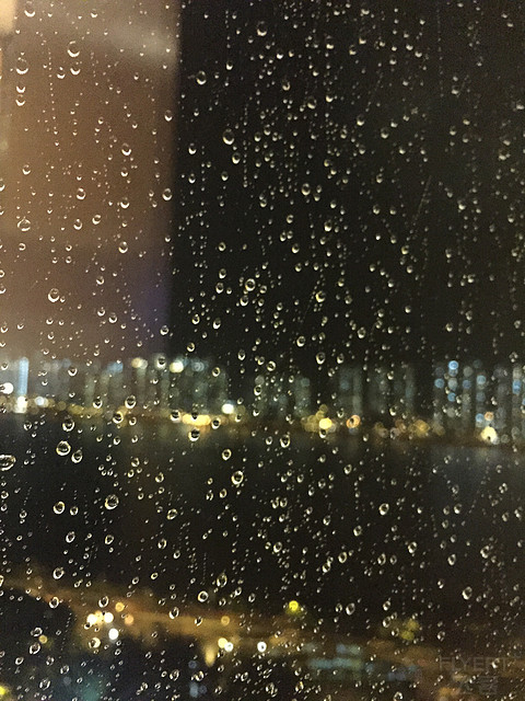 [十年一梦] 香港沙田凯悦酒店的四时轮替