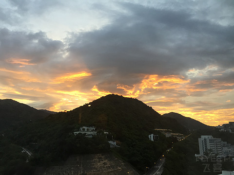 [十年一梦] 香港沙田凯悦酒店的四时轮替