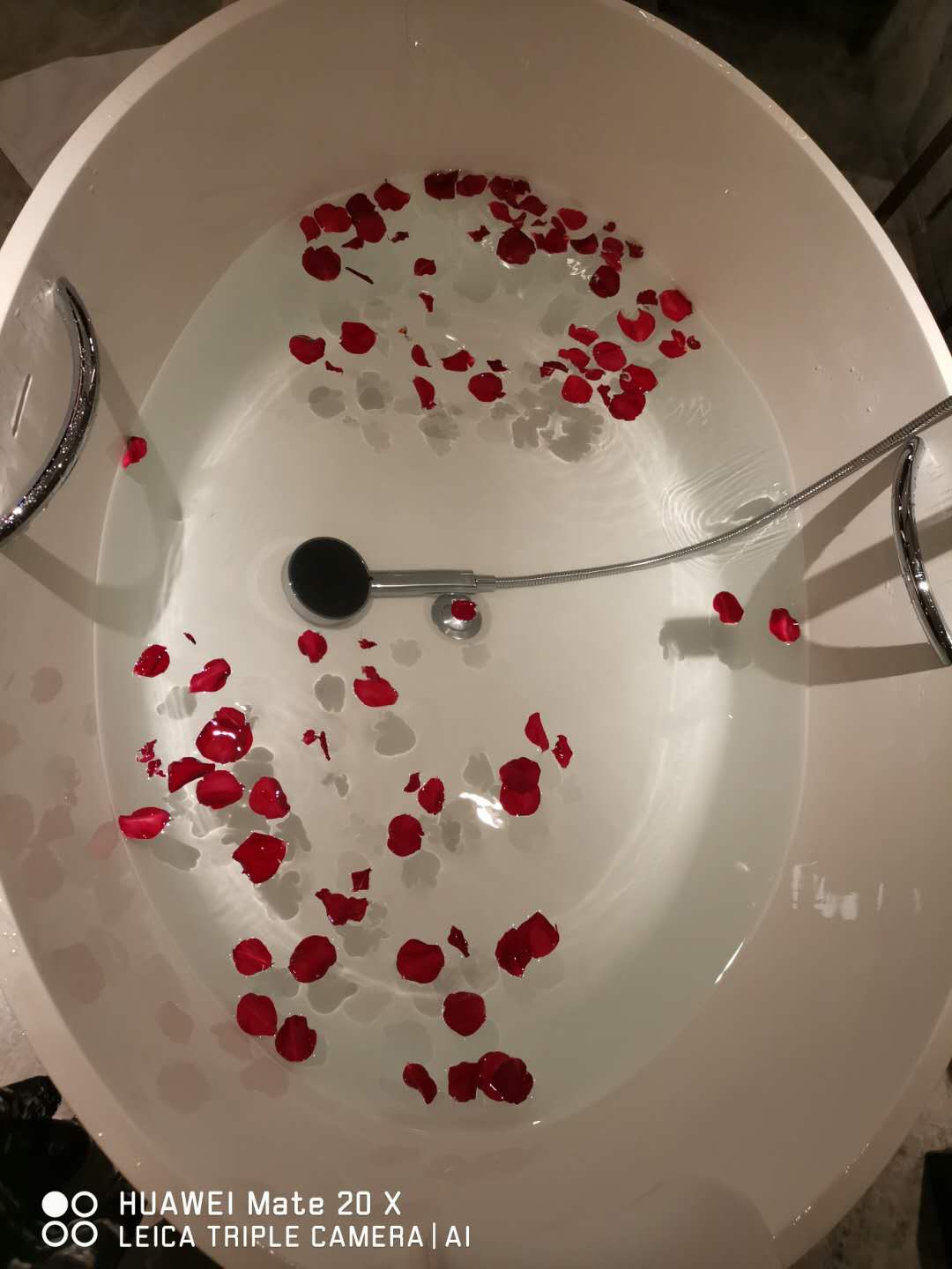 麣ʺ޼ʾƵס飨·ĴšƼ