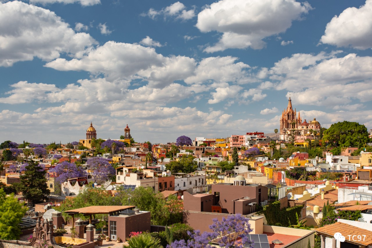 ɺ۵Ĺʥ׸°  rosewood san miguel de allende