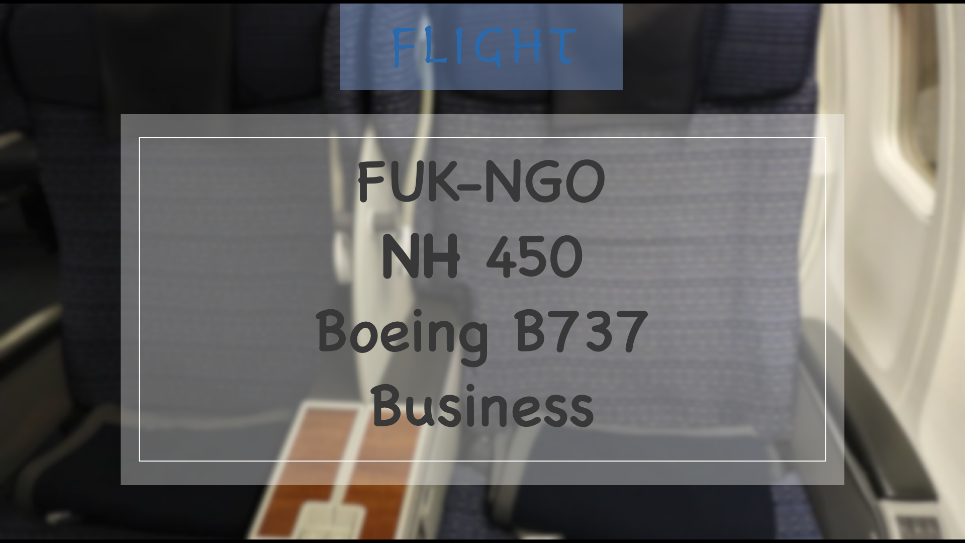 FlightFUK-NGO NH450 B737 C