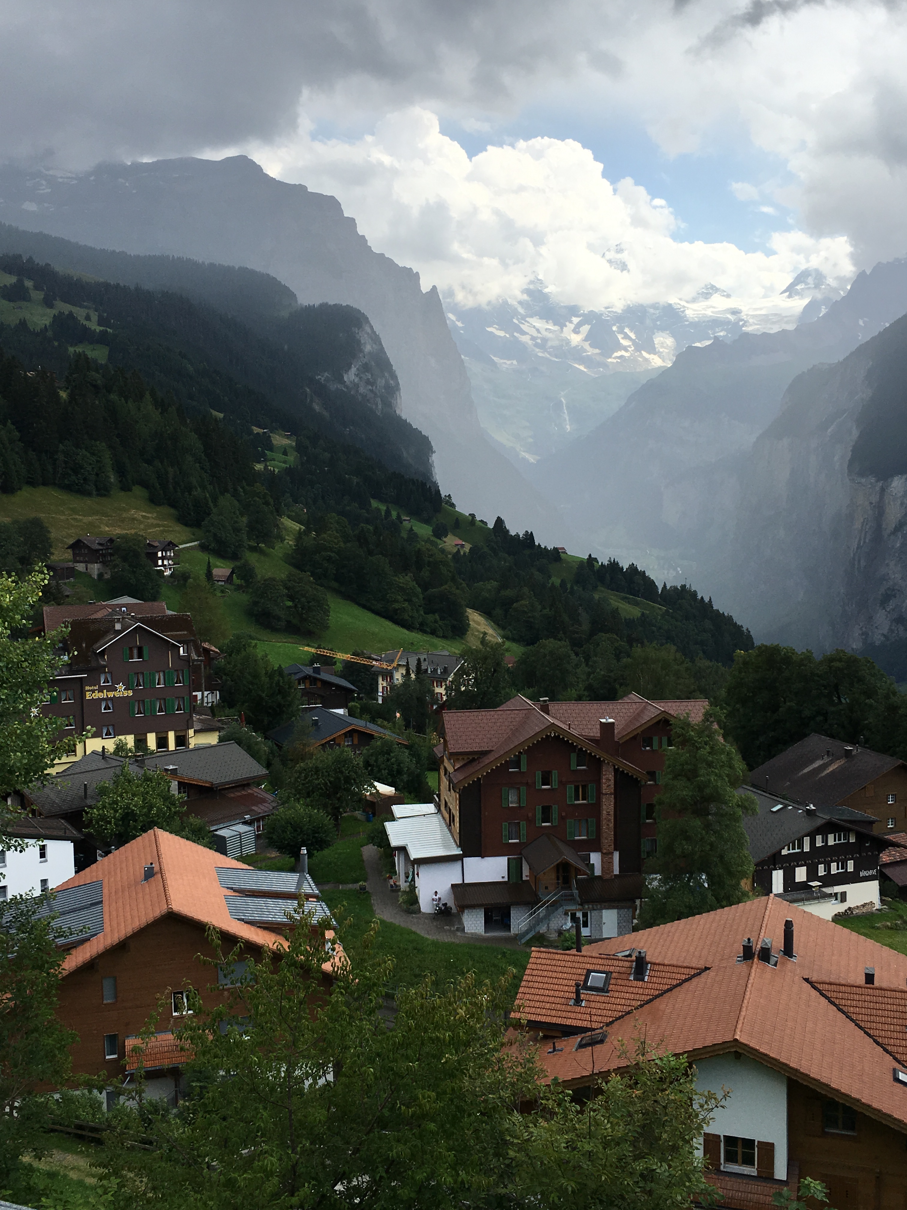 ʿ-¬Hotel Vitznauerhof+̸ Beausite Park HotelŮ