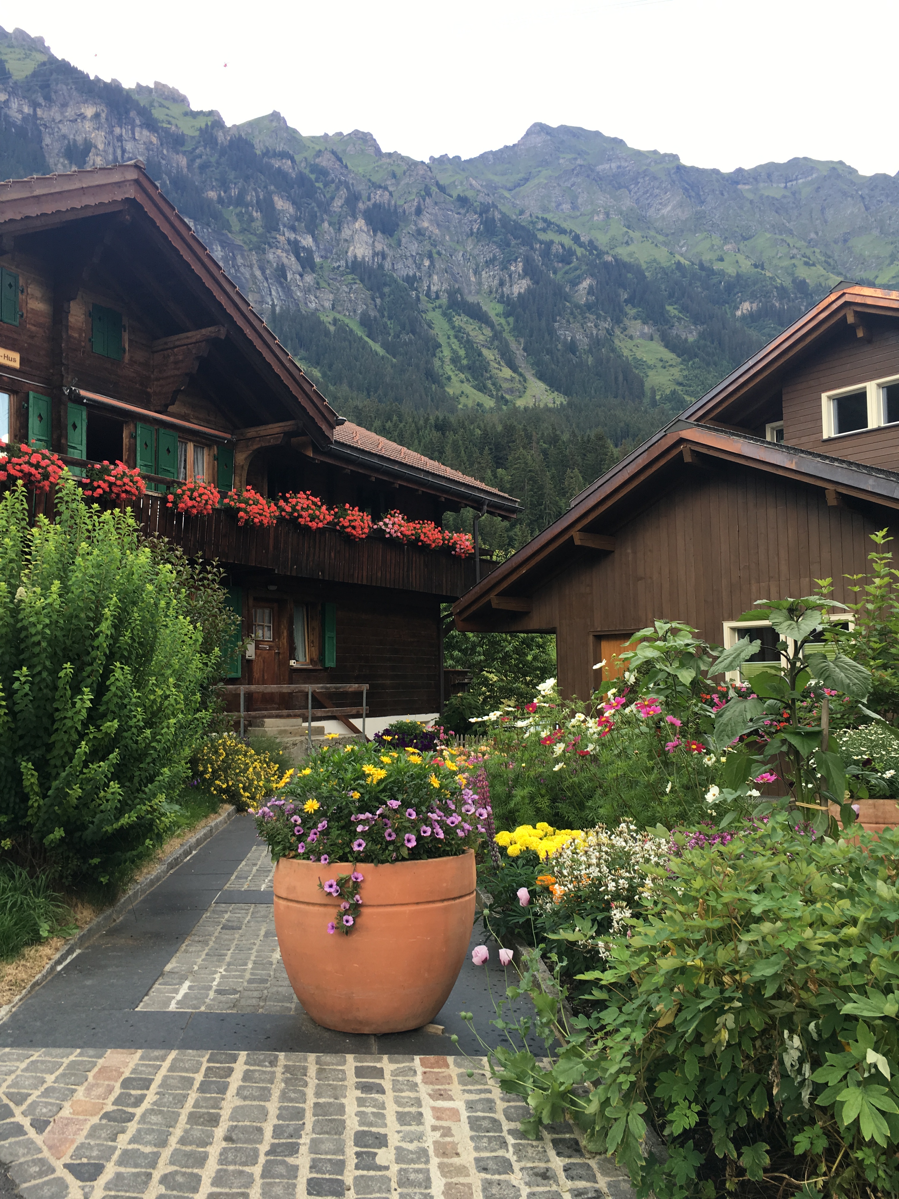 ʿ-¬Hotel Vitznauerhof+̸ Beausite Park HotelŮ