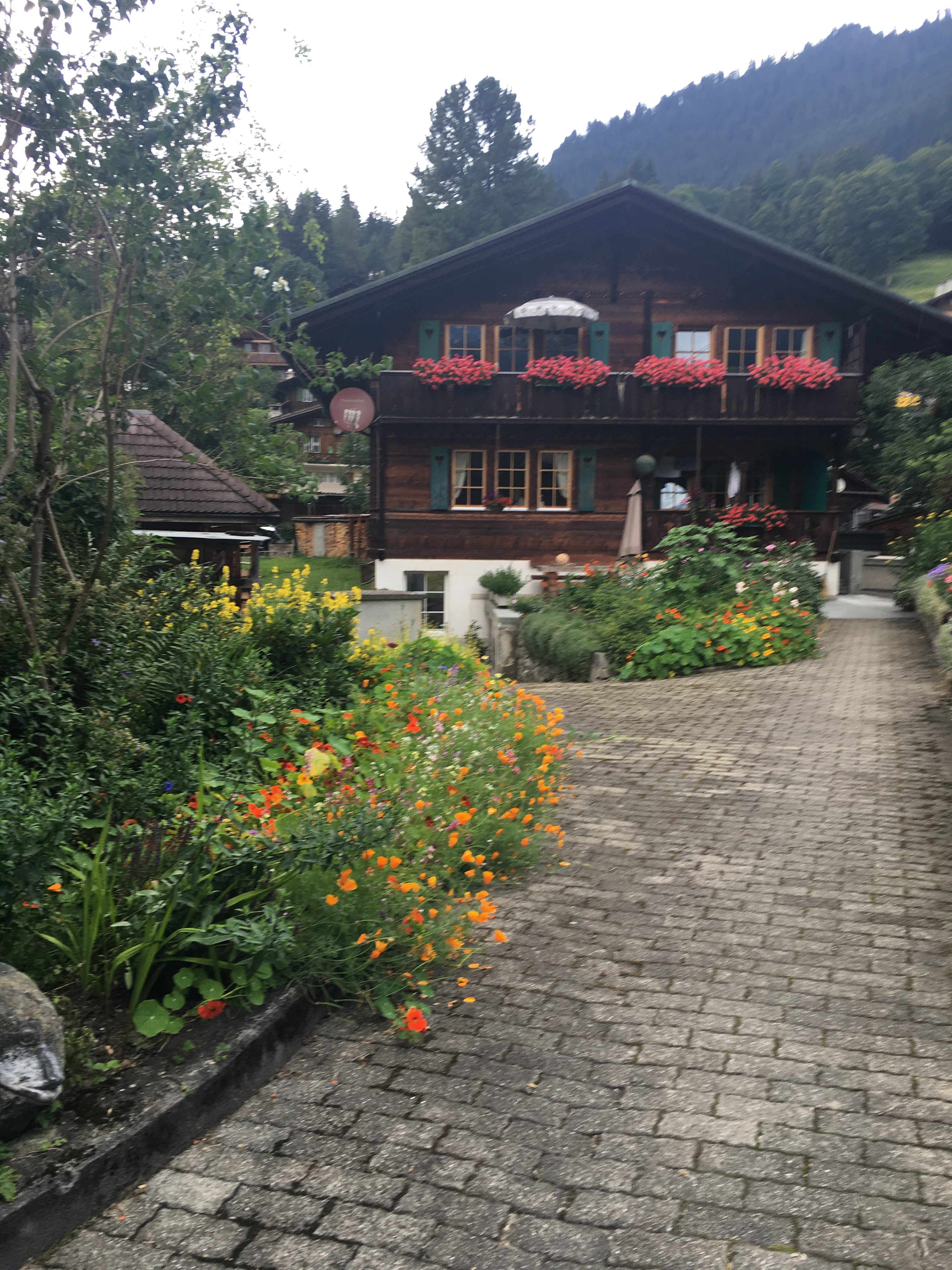 ʿ-¬Hotel Vitznauerhof+̸ Beausite Park HotelŮ