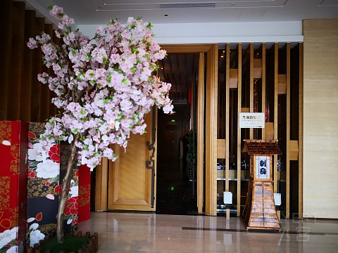 【飞客体验师】古城魅力，如沐春风，荆州南国温德姆酒店体验