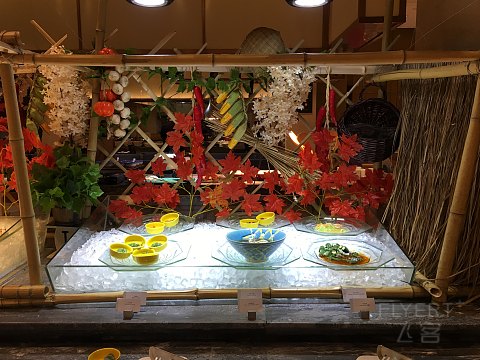 【飞客体验师】古城魅力，如沐春风，荆州南国温德姆酒店体验
