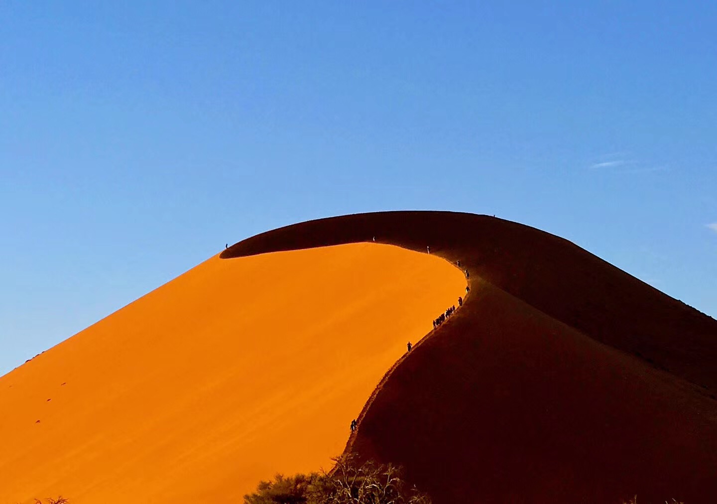 ױ ƵƪһAndBeyond Sossusvlei Desert LodgeӦ׷