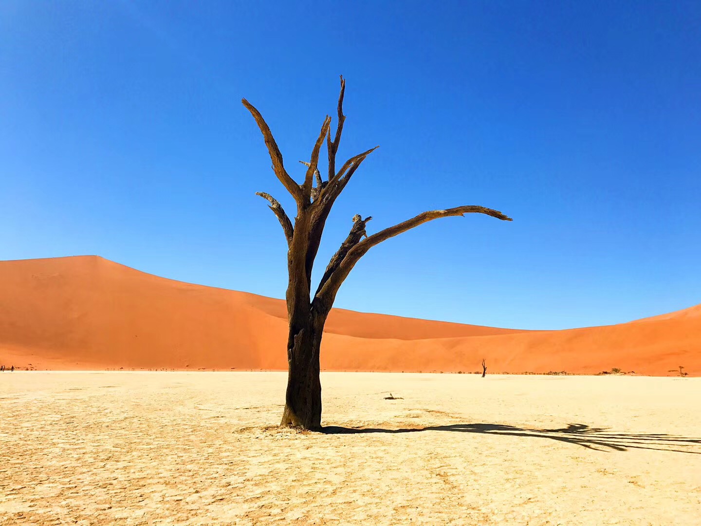 ױ ƵƪһAndBeyond Sossusvlei Desert LodgeӦ׷