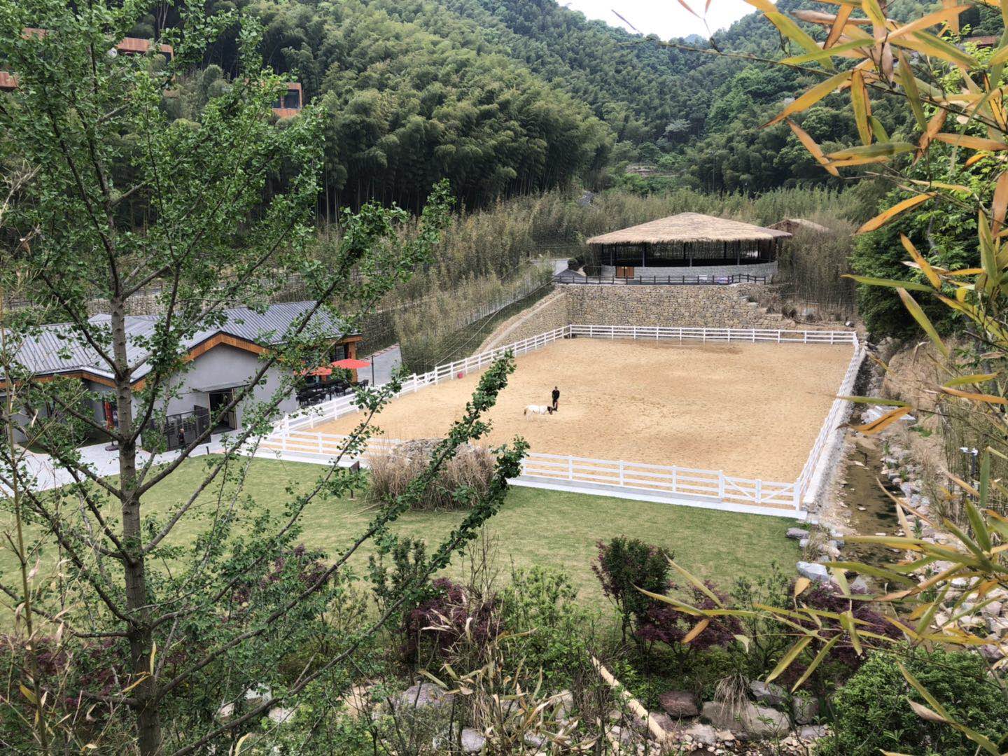 㽭᰾Ƶ20190509ͼ