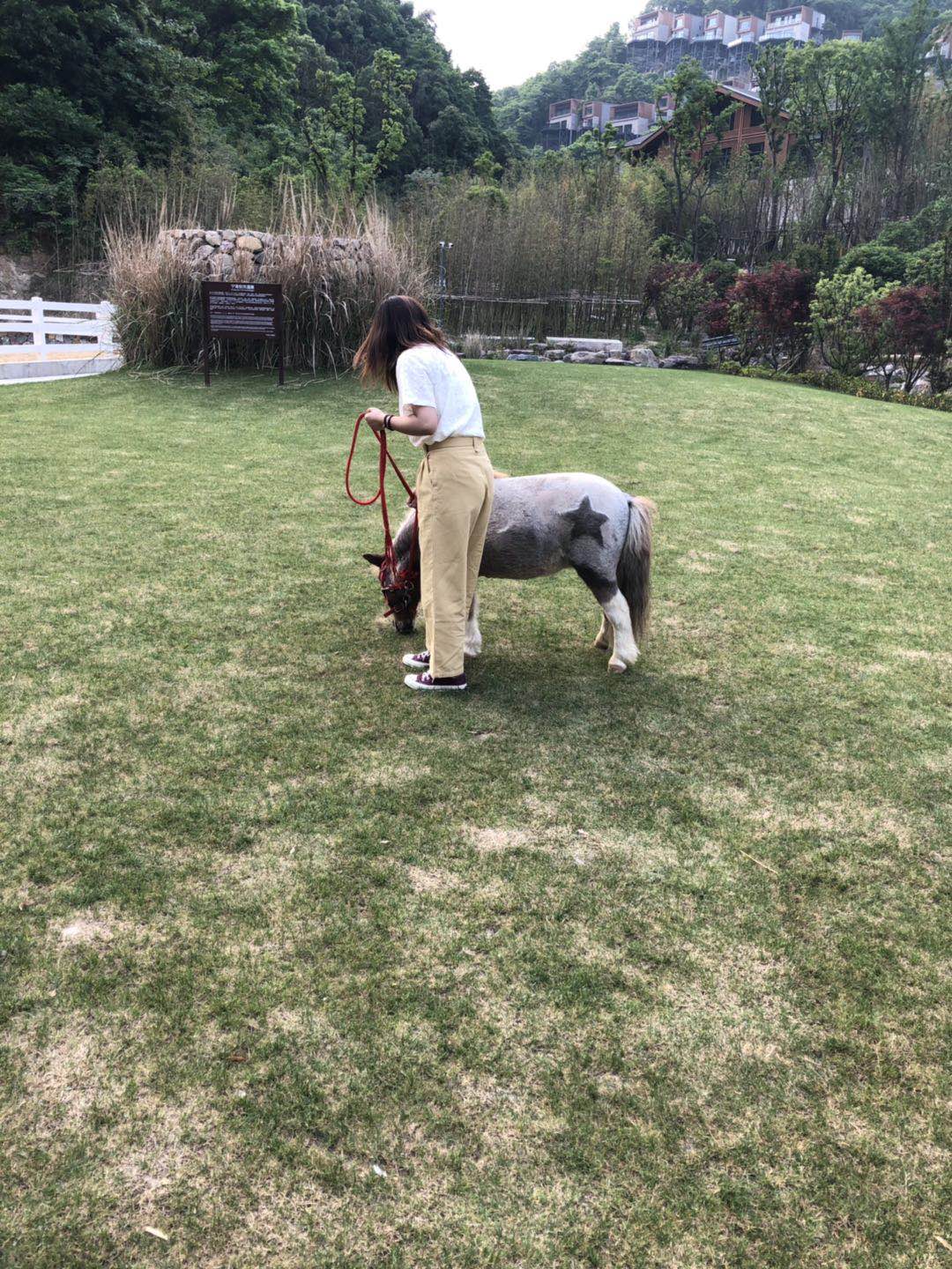 㽭᰾Ƶ20190509ͼ