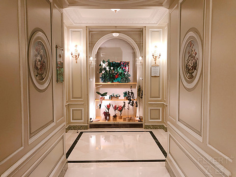 巴黎奢华三重奏 完结篇 Le Meurice,Le Bristol"