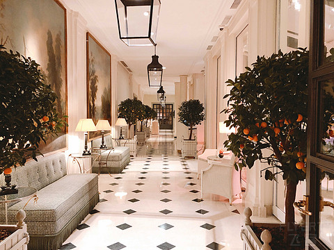 巴黎奢华三重奏 完结篇 Le Meurice,Le Bristol"
