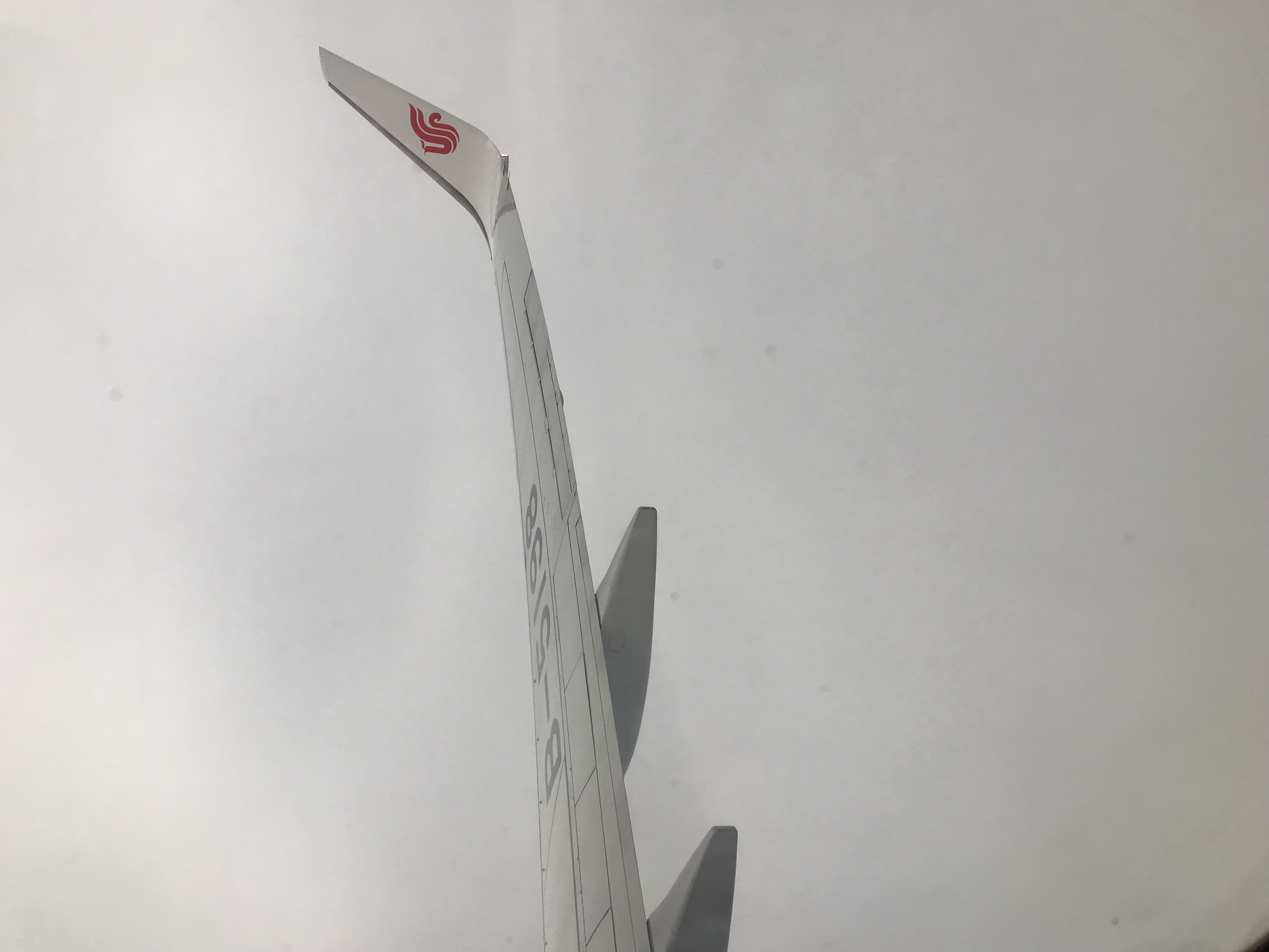 ˰ƷɻԤ һη棬в֮¡ҵCKG-CXR