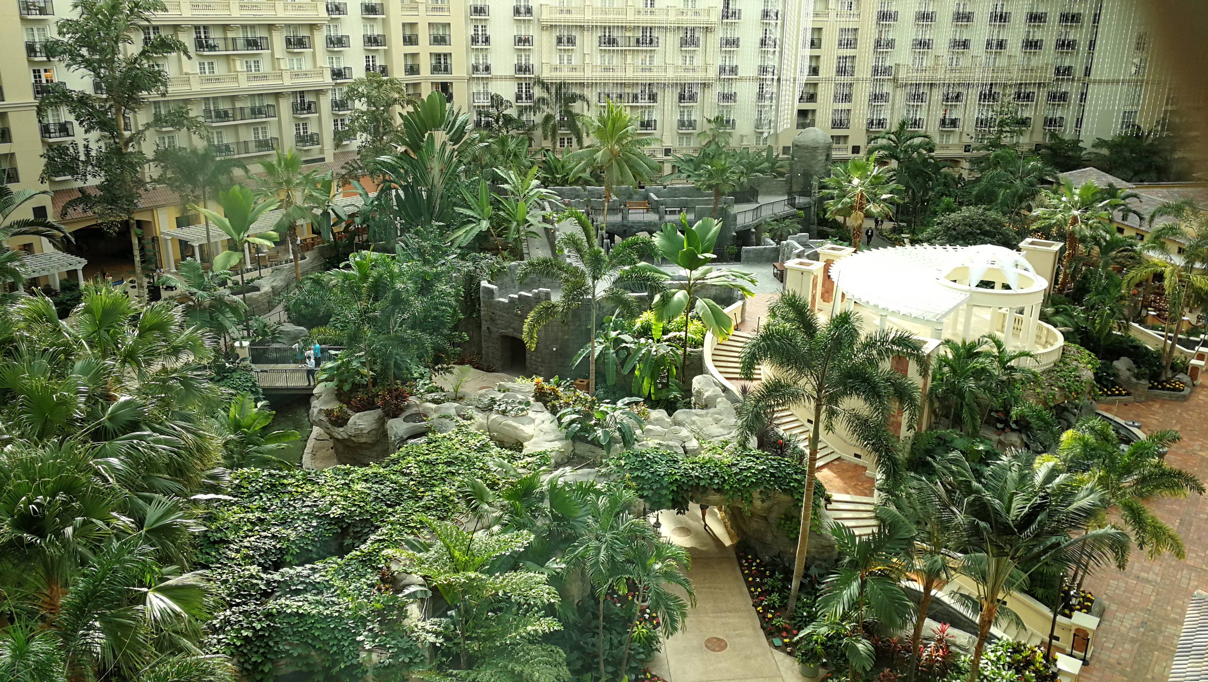 Gaylord Palms Resort & Convention Center -- ȴֺĶȼٴ