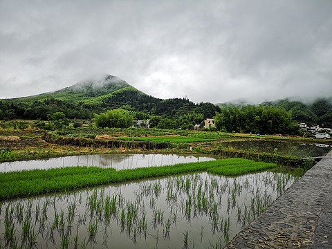 黄山悦榕庄遇上雨